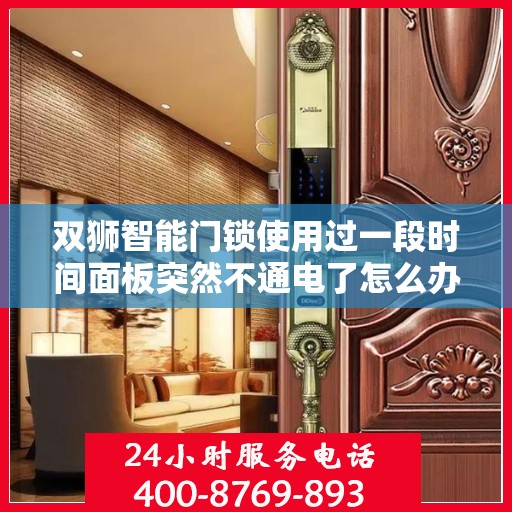 双狮智能门锁使用过一段时间面板突然不通电了怎么办？，双狮智能门锁面板不通电解决方案，快速应对使用中的突发状况！