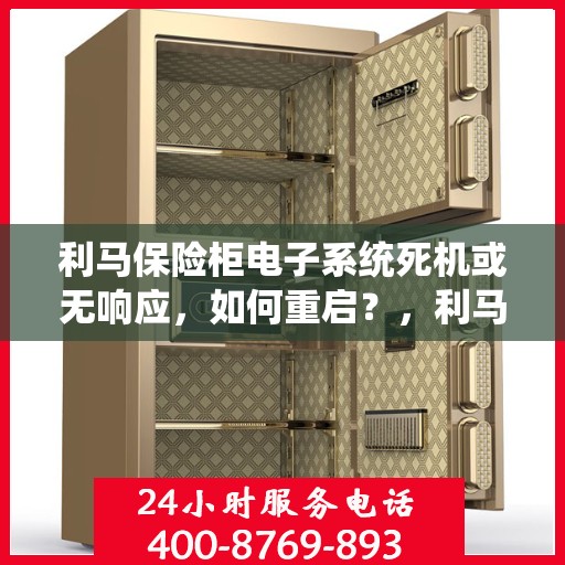 利马保险柜电子系统死机或无响应，如何重启？，利马保险柜电子系统问题解析，死机或无响应如何快速重启？