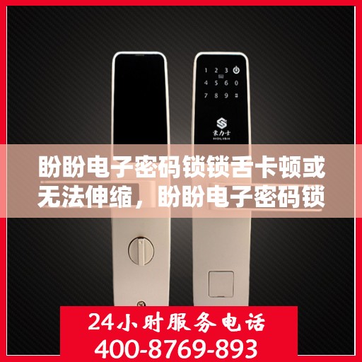 盼盼电子密码锁锁舌卡顿或无法伸缩，盼盼电子密码锁，解决锁舌卡顿与伸缩问题的解决方案