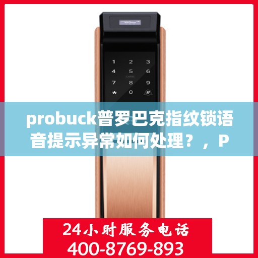 probuck普罗巴克指纹锁语音提示异常如何处理？，Probuck Probarak 指纹锁出现语音提示异常的解决方法