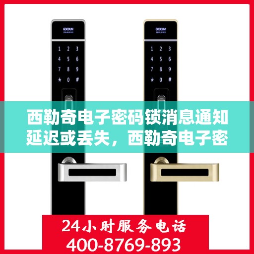 西勒奇电子密码锁消息通知延迟或丢失，西勒奇电子密码锁，消息通知延迟与丢失问题解析