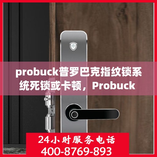 probuck普罗巴克指纹锁系统死锁或卡顿，Probuck Probarak Fingerprint Lock System Malfunctions or Stalls