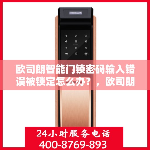 欧司朗智能门锁密码输入错误被锁定怎么办？，欧司朗智能门锁密码错误锁定后的解决之道
