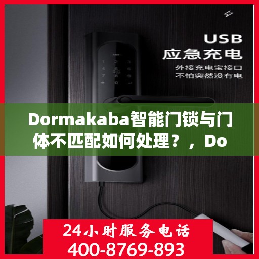 Dormakaba智能门锁与门体不匹配如何处理？，Dormakaba智能门锁与门体不匹配解决方案探讨