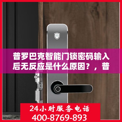 普罗巴克智能门锁密码输入后无反应是什么原因？，普罗巴克智能门锁密码输入后无反应的可能原因分析