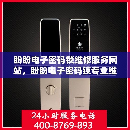 盼盼电子密码锁维修服务网站，盼盼电子密码锁专业维修与维护平台介绍