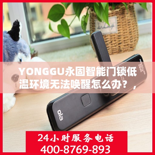 YONGGU永固智能门锁低温环境无法唤醒怎么办？，YONGGU永固智能门锁低温环境下的唤醒难题解析与处理指南