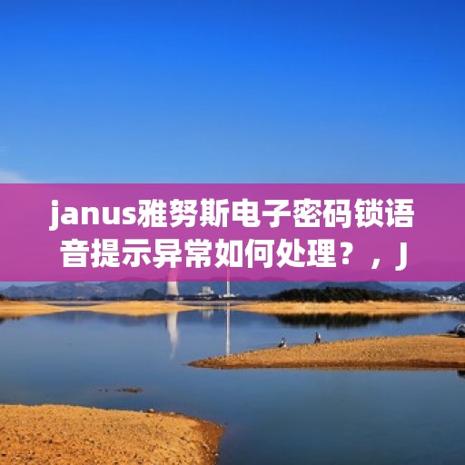 janus雅努斯电子密码锁语音提示异常如何处理？，Janus雅努斯电子密码锁语音提示异常的解决方法