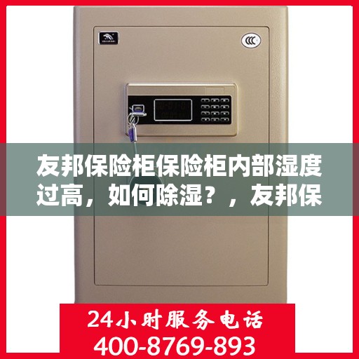 友邦保险柜保险柜内部湿度过高，如何除湿？，友邦保险柜湿度管理，除湿攻略与保养要点