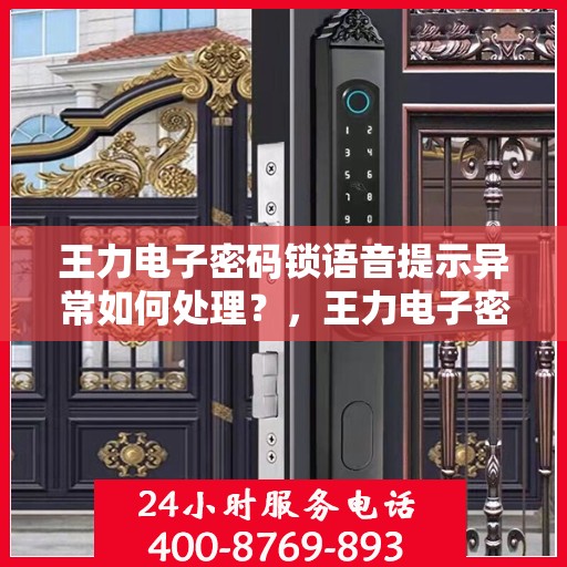 王力电子密码锁语音提示异常如何处理？，王力电子密码锁语音提示异常的解决方法