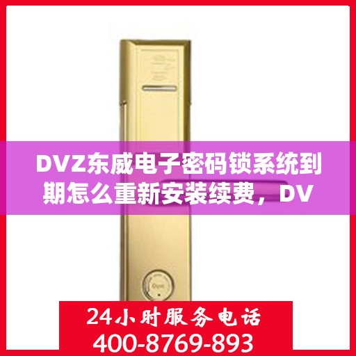 DVZ东威电子密码锁系统到期怎么重新安装续费，DVZ东威电子密码锁系统重新安装续费指南