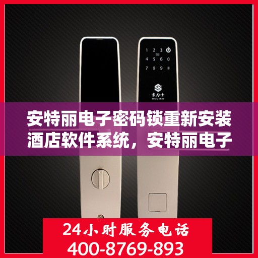 安特丽电子密码锁重新安装酒店软件系统，安特丽电子密码锁酒店软件系统重装升级指南