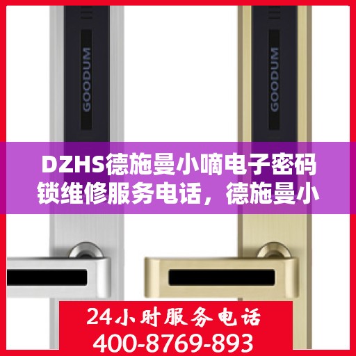 DZHS德施曼小嘀电子密码锁维修服务电话，德施曼小嘀电子密码锁维修热线及解决方案