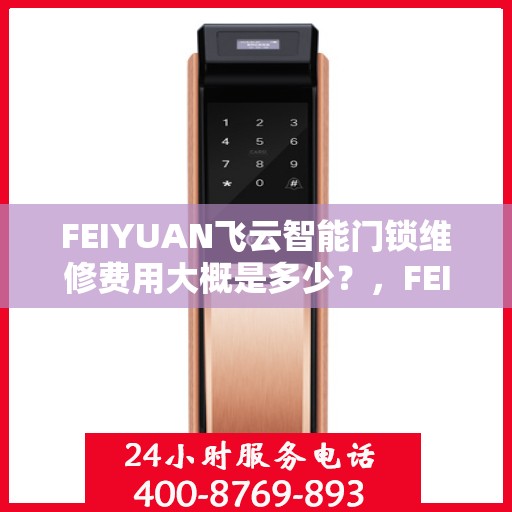 FEIYUAN飞云智能门锁维修费用大概是多少？，FEIYUN飞云智能门锁维修费用详解，了解维修成本，一键解决您的疑虑！