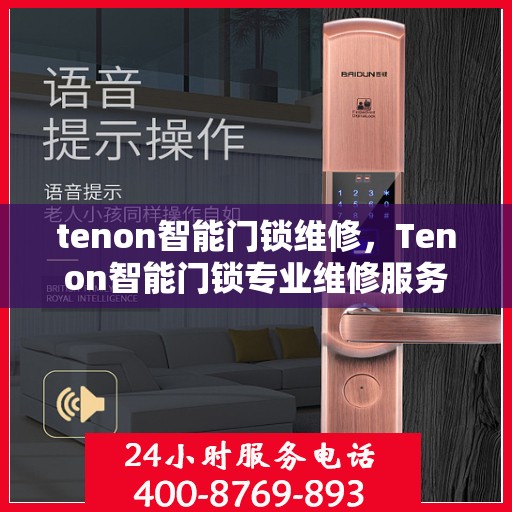 tenon智能门锁维修，Tenon智能门锁专业维修服务