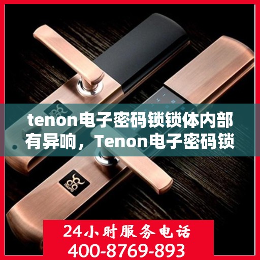 tenon电子密码锁锁体内部有异响，Tenon电子密码锁内部异响探秘，锁体运作原理与故障排除指南