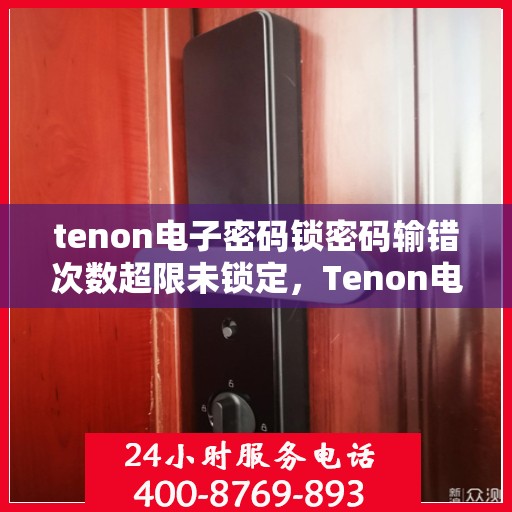 tenon电子密码锁密码输错次数超限未锁定，Tenon电子密码锁遭遇多次输错后的锁定挑战