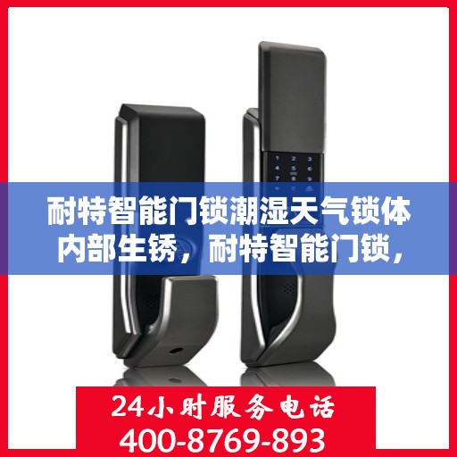 耐特智能门锁潮湿天气锁体内部生锈，耐特智能门锁，潮湿环境下的锁体防锈挑战