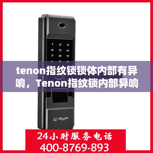 tenon指纹锁锁体内部有异响，Tenon指纹锁内部异响揭秘，锁体运作问题及解决方案