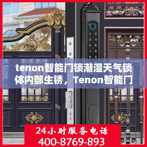 tenon智能门锁潮湿天气锁体内部生锈，Tenon智能门锁应对潮湿挑战，锁体内部生锈问题解析