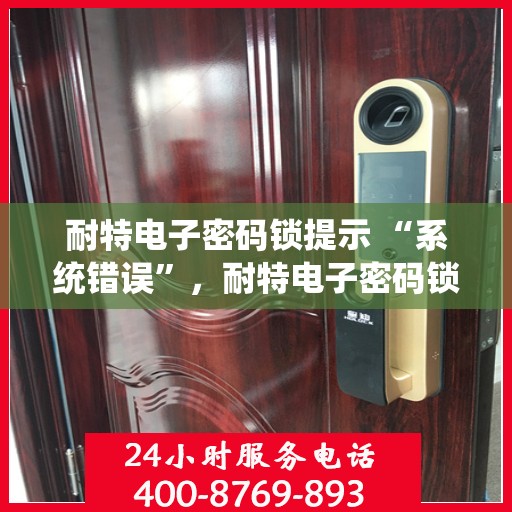 耐特电子密码锁提示 “系统错误”，耐特电子密码锁系统错误提示，解锁难题，问题解析与解决方案