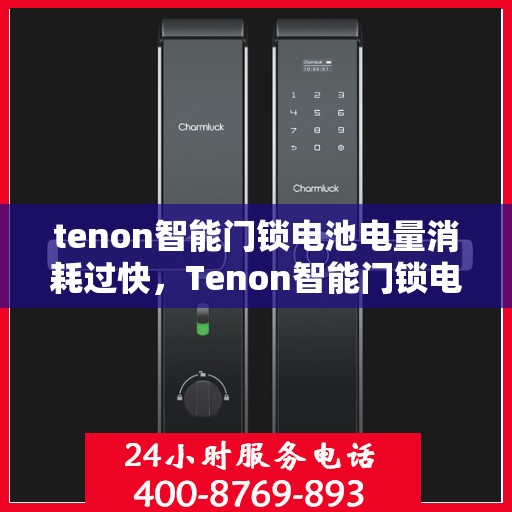 tenon智能门锁电池电量消耗过快，Tenon智能门锁电池电量迅速消耗探秘