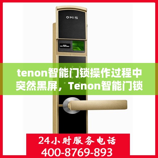 tenon智能门锁操作过程中突然黑屏，Tenon智能门锁突发黑屏故障解析