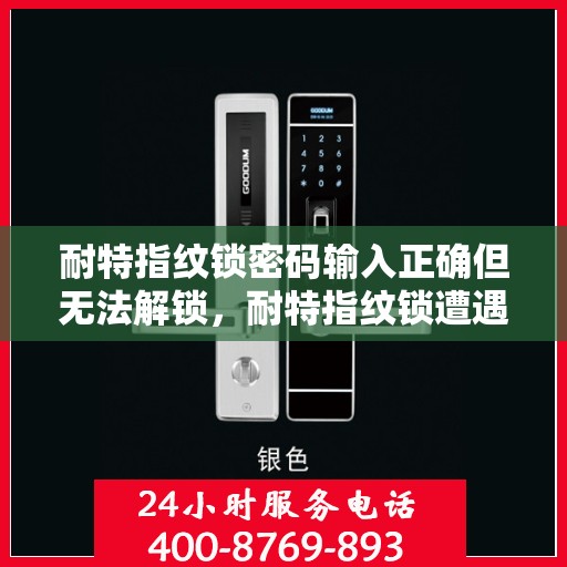 耐特指纹锁密码输入正确但无法解锁，耐特指纹锁遭遇密码正确却开不了锁的困惑