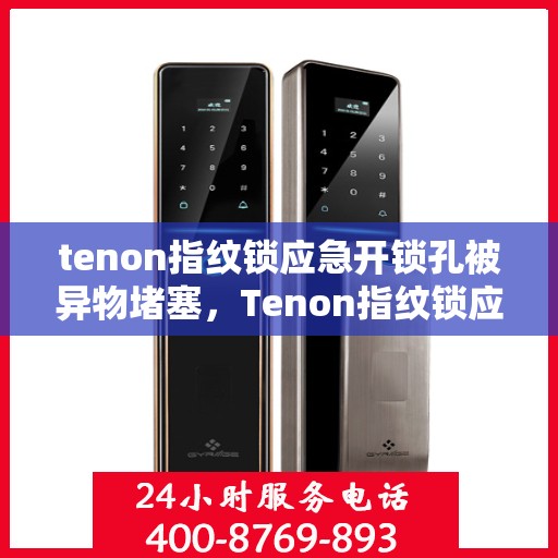 tenon指纹锁应急开锁孔被异物堵塞，Tenon指纹锁应急开锁孔遭遇异物堵塞，解决方法与预防策略