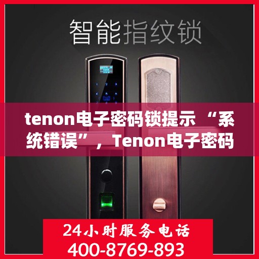 tenon电子密码锁提示 “系统错误”，Tenon电子密码锁系统错误提示解析与解决方案