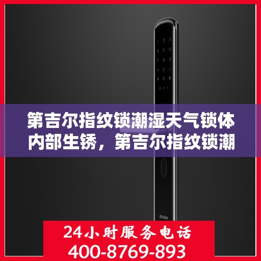 第吉尔指纹锁潮湿天气锁体内部生锈，第吉尔指纹锁潮湿环境下的锁体内部防锈挑战