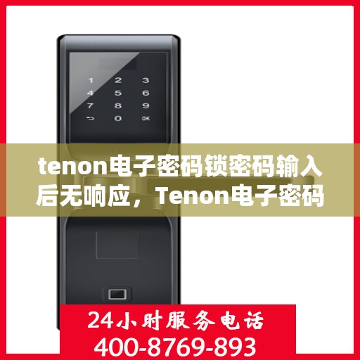 tenon电子密码锁密码输入后无响应，Tenon电子密码锁输入后无响应故障解析与解决方案