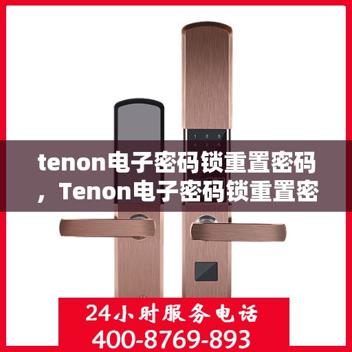 tenon电子密码锁重置密码，Tenon电子密码锁重置密码教程与指南