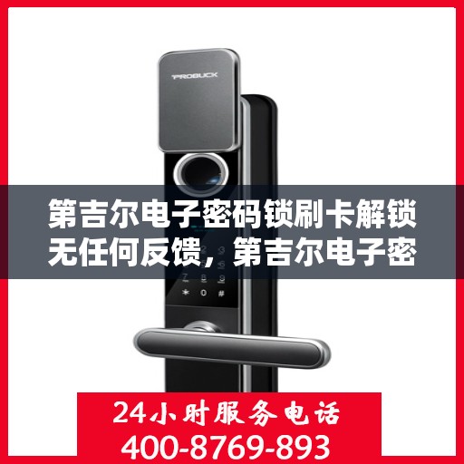 第吉尔电子密码锁刷卡解锁无任何反馈，第吉尔电子密码锁刷卡解锁无声响应，专业解析与应对方案