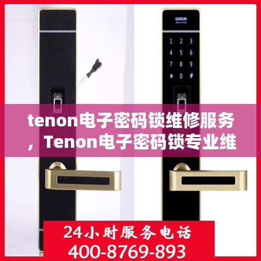 tenon电子密码锁维修服务，Tenon电子密码锁专业维修服务团队为您排忧解难！