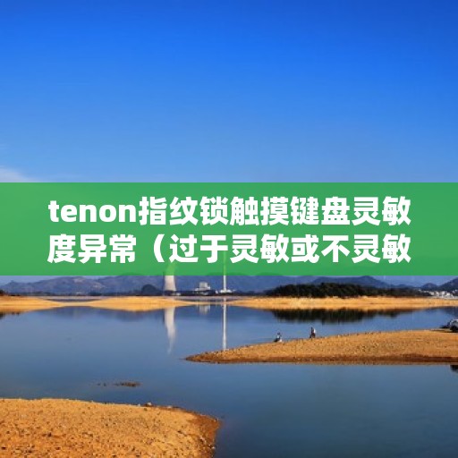 tenon指纹锁触摸键盘灵敏度异常（过于灵敏或不灵敏），Tenon指纹锁触摸键盘灵敏度问题解析，灵敏度异常调整与维护指南