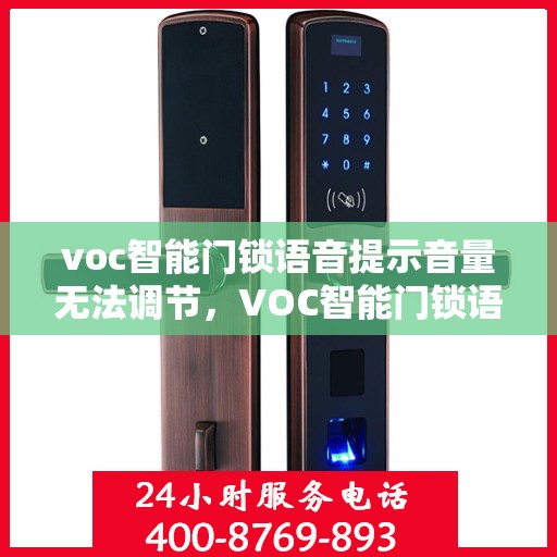 voc智能门锁语音提示音量无法调节，VOC智能门锁语音音量调节难题解析