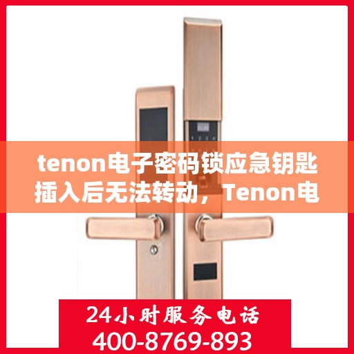 tenon电子密码锁应急钥匙插入后无法转动，Tenon电子密码锁应急钥匙插入故障分析与解决指南