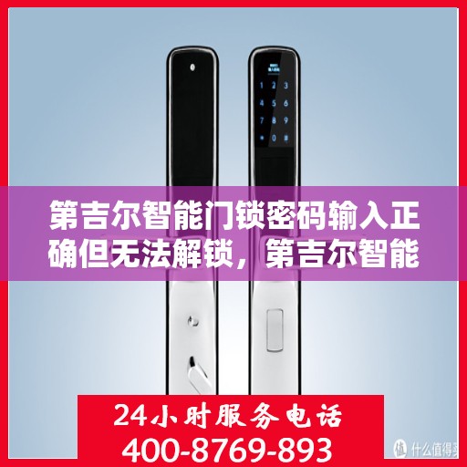 第吉尔智能门锁密码输入正确但无法解锁，第吉尔智能门锁，密码正确却锁门不解之谜