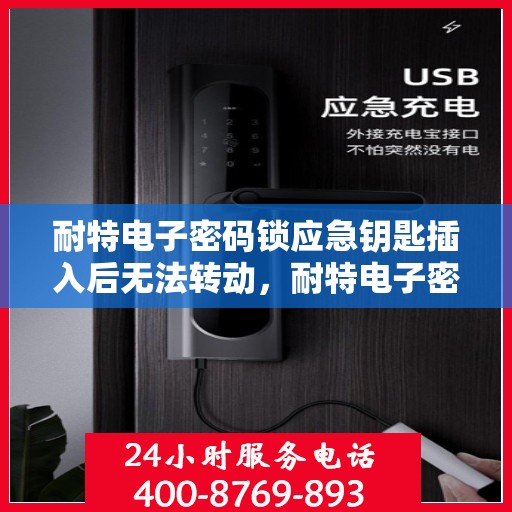 耐特电子密码锁应急钥匙插入后无法转动，耐特电子密码锁应急钥匙故障分析与解决指南
