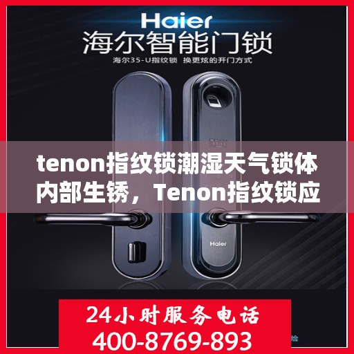 tenon指纹锁潮湿天气锁体内部生锈，Tenon指纹锁应对潮湿挑战，锁体内部生锈问题解析