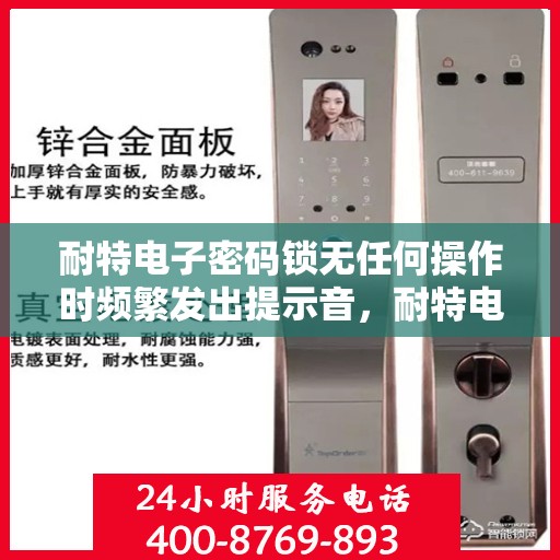 耐特电子密码锁无任何操作时频繁发出提示音，耐特电子密码锁频繁提示音现象解析与应对方案探索
