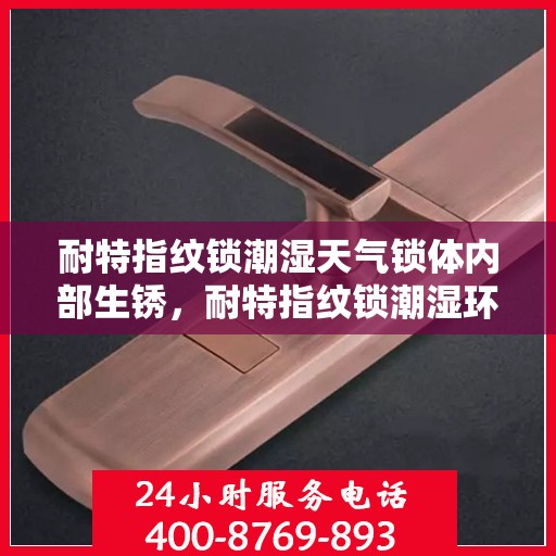 耐特指纹锁潮湿天气锁体内部生锈，耐特指纹锁潮湿环境下的锁体内部防锈挑战