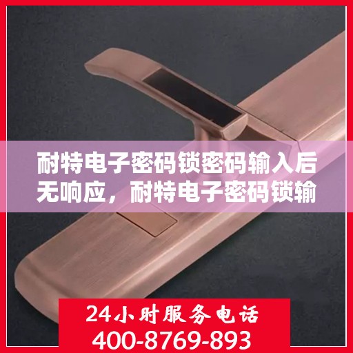 耐特电子密码锁密码输入后无响应，耐特电子密码锁输入无响应，智能锁具功能失效问题解析