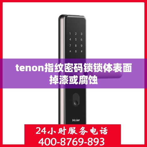 tenon指纹密码锁锁体表面掉漆或腐蚀