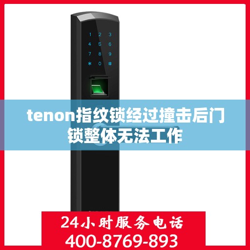 tenon指纹锁经过撞击后门锁整体无法工作