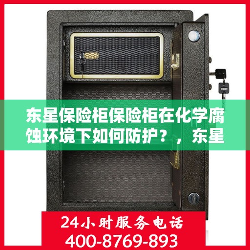 东星保险柜保险柜在化学腐蚀环境下如何防护？，东星保险柜在化学腐蚀环境下的防护策略解析