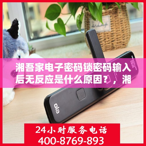 湘吾家电子密码锁密码输入后无反应是什么原因？，湘吾家电子密码锁密码输入后无反应的解决方法