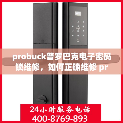 probuck普罗巴克电子密码锁维修，如何正确维修 probuck 普罗巴克电子密码锁，步骤与技巧分享