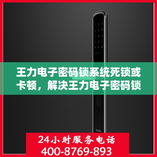 王力电子密码锁系统死锁或卡顿，解决王力电子密码锁系统死锁或卡顿问题的指南